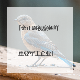 金正恩视察朝鲜重要军工企业