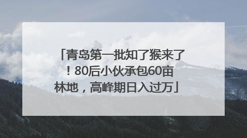 青岛第一批知了猴来了！80后小伙承包60亩林地，高峰期日入过万