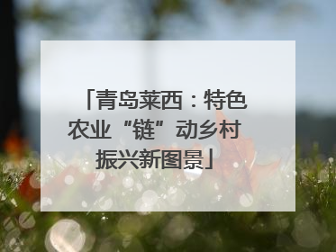 青岛莱西：特色农业“链”动乡村振兴新图景