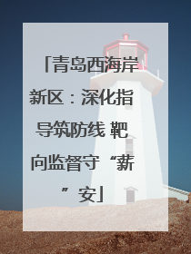 青岛西海岸新区：深化指导筑防线 靶向监督守“薪”安