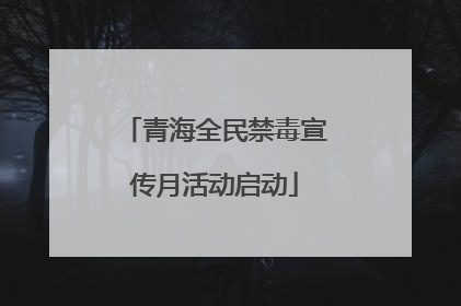 青海全民禁毒宣传月活动启动
