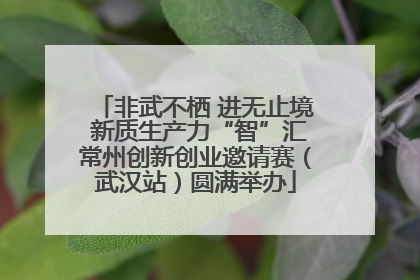 非武不栖 进无止境 新质生产力“智”汇常州创新创业邀请赛（武汉站）圆满举办