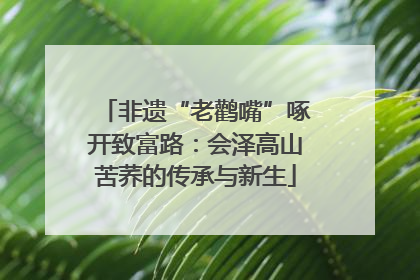 非遗“老鹳嘴”啄开致富路：会泽高山苦荞的传承与新生