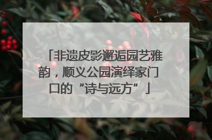 非遗皮影邂逅园艺雅韵，顺义公园演绎家门口的“诗与远方”