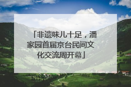 非遗味儿十足，潘家园首届京台民间文化交流周开幕