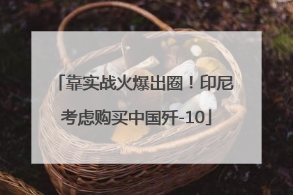 靠实战火爆出圈！印尼考虑购买中国歼-10