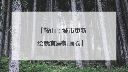 鞍山：城市更新绘就宜居新画卷