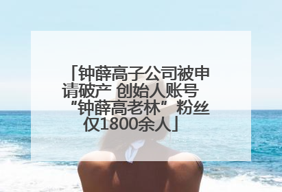 钟薛高子公司被申请破产 创始人账号“钟薛高老林”粉丝仅1800余人