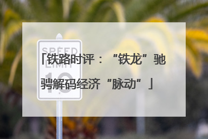 铁路时评：“铁龙”驰骋解码经济“脉动”