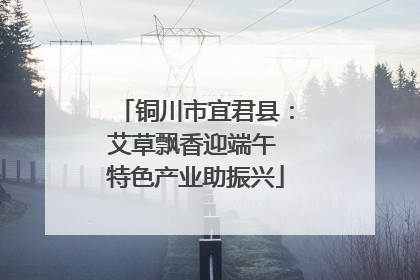 铜川市宜君县：艾草飘香迎端午 特色产业助振兴