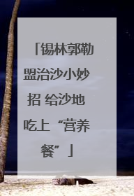 锡林郭勒盟治沙小妙招 给沙地吃上“营养餐”