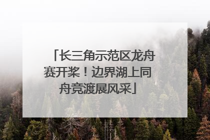 长三角示范区龙舟赛开桨！边界湖上同舟竞渡展风采