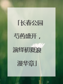 长春公园芍药盛开，演绎初夏浪漫华章