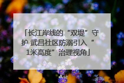 长江岸线的“双堤”守护 武昌社区防溺引入“1米高度”治理视角