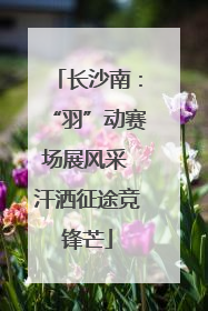 长沙南：“羽”动赛场展风采 汗洒征途竞锋芒