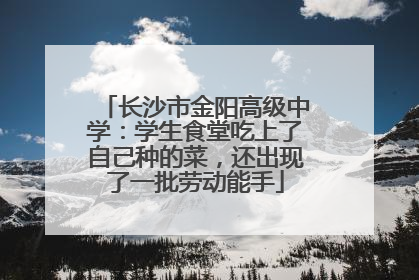 长沙市金阳高级中学：学生食堂吃上了自己种的菜，还出现了一批劳动能手