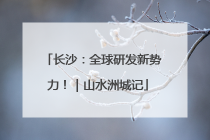 长沙：全球研发新势力！｜山水洲城记
