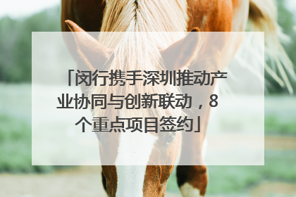 闵行携手深圳推动产业协同与创新联动，8个重点项目签约