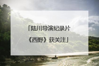 陆川导演纪录片《西野》获关注