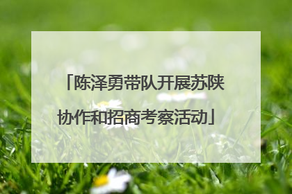 陈泽勇带队开展苏陕协作和招商考察活动