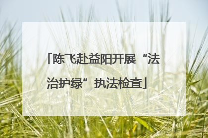 陈飞赴益阳开展“法治护绿”执法检查
