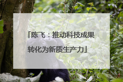 陈飞：推动科技成果转化为新质生产力
