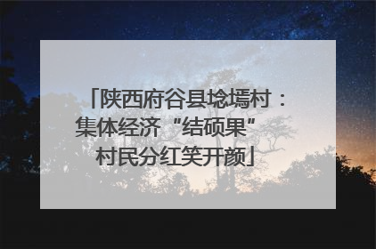 陕西府谷县埝墕村：集体经济“结硕果” 村民分红笑开颜