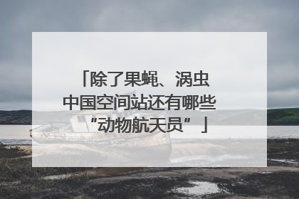除了果蝇、涡虫 中国空间站还有哪些“动物航天员”