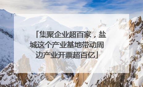集聚企业超百家，盐城这个产业基地带动周边产业开票超百亿