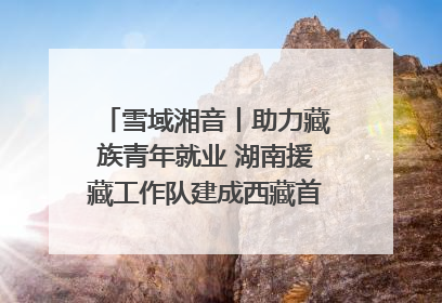 雪域湘音丨助力藏族青年就业 湖南援藏工作队建成西藏首个清洁能源装备园