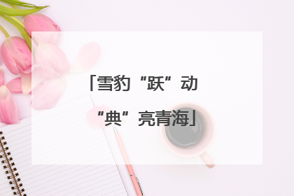 雪豹“跃”动 “典”亮青海