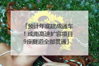 预计年底建成通车！成南高速扩容项目9座隧道全部贯通