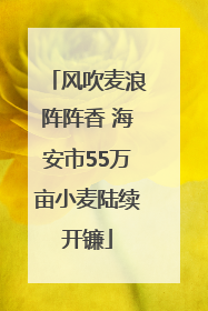 风吹麦浪阵阵香 海安市55万亩小麦陆续开镰