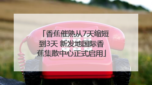 香蕉催熟从7天缩短到3天 新发地国际香蕉集散中心正式启用