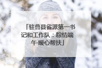 驻曹县省派第一书记和工作队：粽情端午·暖心帮扶