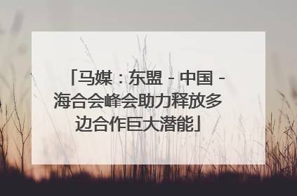 马媒：东盟－中国－海合会峰会助力释放多边合作巨大潜能