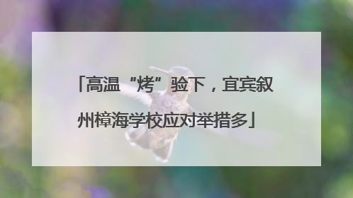 高温“烤”验下，宜宾叙州樟海学校应对举措多