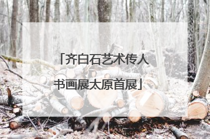 齐白石艺术传人书画展太原首展