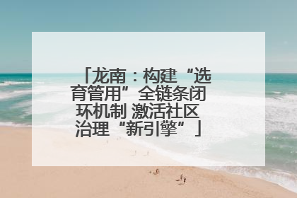 龙南：构建“选育管用”全链条闭环机制 激活社区治理“新引擎”