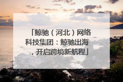 鲸驰（河北）网络科技集团：鲸驰出海，开启跨境新航程