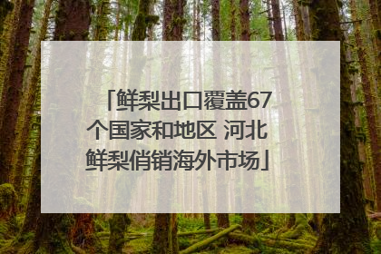 鲜梨出口覆盖67个国家和地区 河北鲜梨俏销海外市场