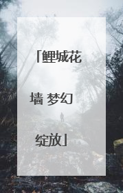 鲤城花墙 梦幻绽放