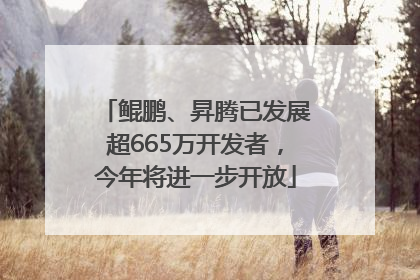 鲲鹏、昇腾已发展超665万开发者，今年将进一步开放