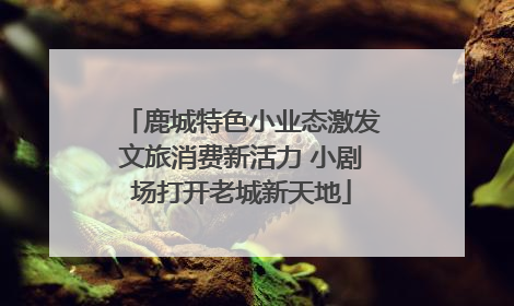 鹿城特色小业态激发文旅消费新活力 小剧场打开老城新天地