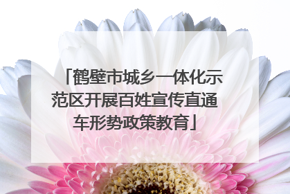 鹤壁市城乡一体化示范区开展百姓宣传直通车形势政策教育