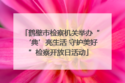 鹤壁市检察机关举办“‘典’亮生活 守护美好”检察开放日活动