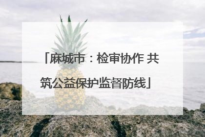 麻城市：检审协作 共筑公益保护监督防线