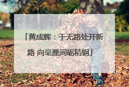 黄成辉：于无路处开新路 向毫厘间砺精钢