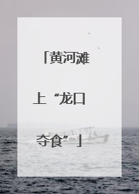 黄河滩上“龙口夺食”