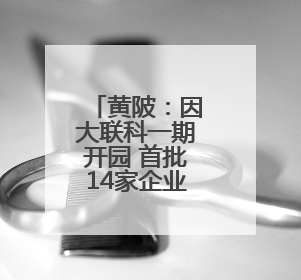 黄陂：因大联科一期开园 首批14家企业入驻